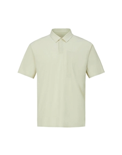 Поло Dualis мужское, серебристо-зеленый Descente