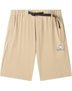 Спортивные шорты мужские, серебро Le coq sportif