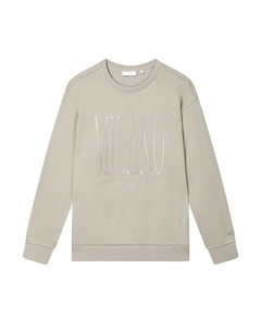 Свитшот мужской коричневый умбра серый Fila