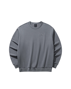 Свитшот мужской Mist Gray, серый Anta