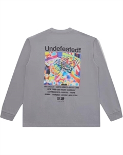 Футболка мужская, серый Undefeated
