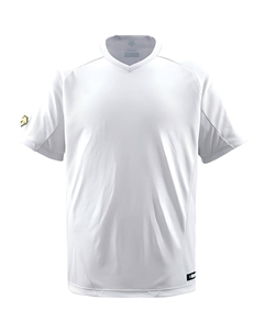 Футболка для тренировок мужская, белый Descente