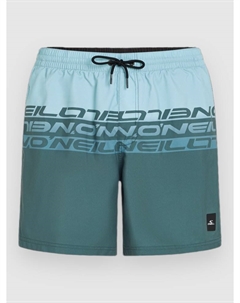 Пляжные шорты Cali Stripe 16'' Boardshorts, blue upside down O`neill