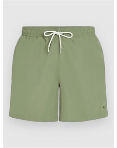Пляжные шорты Vert 16'' Boardshorts, avery fern O`neill