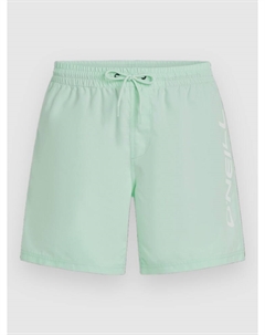 Пляжные шорты Cali 16'' Boardshorts, mildrew mint O`neill