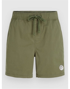 Шорты Og Porter Shorts, deep lichen green O`neill