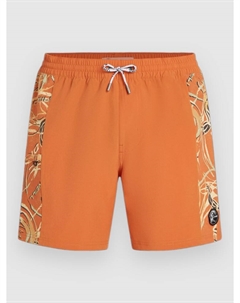Пляжные шорты O'Riginals Side Panel 16″ Boardshorts, orange originals O`neill