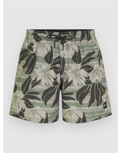 Пляжные шорты Cali Floral 16'' Boardshorts, green dusty flower O`neill