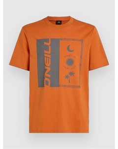 Футболка Front Print T-Shirt, cinnamon stick O`neill