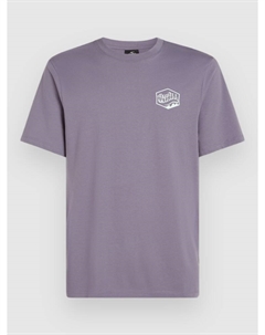 Футболка Box Logo T-Shirt, storm O`neill