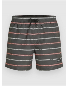 Пляжные шорты Cali First 15'' Boardshorts, grey o/neill stripe O`neill