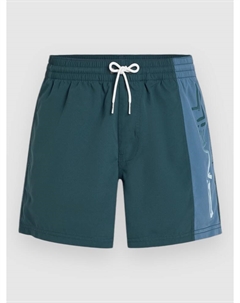 Пляжные шорты Retro 14'' Boardshorts, alma steel colour block O`neill