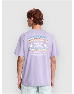 Футболка Stoneys Bsc T-Shirt, purple ash Volcom
