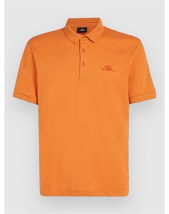 Футболка Small Logo Polo, cinnamon stick O`neill