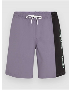Пляжные шорты Retro 19″ Boardshorts, storm colour block O`neill