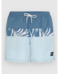 Пляжные шорты Cali Block 15'' Boardshorts, blue dipped leaves O`neill