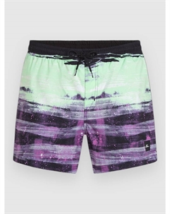 Пляжные шорты Cali Gradient 15'' Boardshorts, purple melted texture O`neill