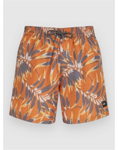 Пляжные шорты Cali Floral 16'' Boardshorts, orange dipped leaves O`neill