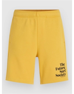 Шорты Future Surf Society Shorts, golden haze O`neill