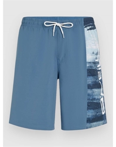 Пляжные шорты Retro 19″ Boardshorts, blue melted texture O`neill
