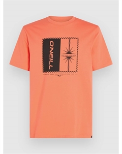 Футболка Mix & Match Palm T-Shirt, living coral O`neill