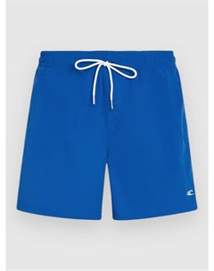 Пляжные шорты Vert 16'' Boardshorts, victoria blue O`neill