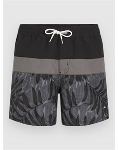 Пляжные шорты Cali Block 15'' Boardshorts, black dipped leaves O`neill