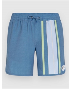 Пляжные шорты O'Riginals Scallop 16″ Boardshorts, blue org longboard stripe O`neill