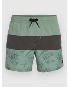 Пляжные шорты Mix & Match Cali Block 15'' Boardshorts, green vintage surfer O`neill