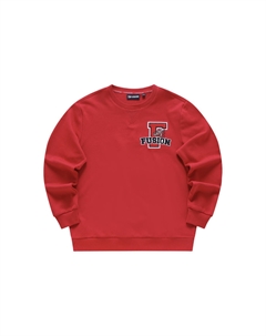 Свитшот мужской Ireland красный Fila fusion