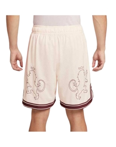 Баскетбольные шорты мужские Sail White Nike