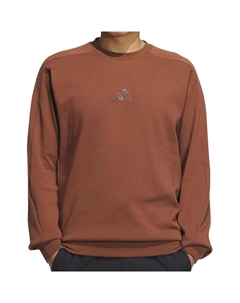 Толстовка мужская коричневая Adidas