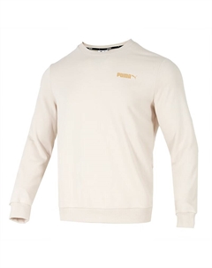 Свитшот мужской бежевый Beige Puma