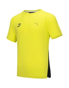 Футболка мужская Legend Green Anta