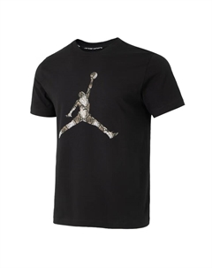 Спортивная мужская футболка Dri FIT, черный Jordan