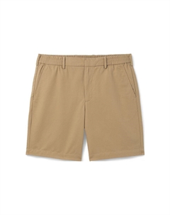 Шорты SS22 мужские brown Lacoste