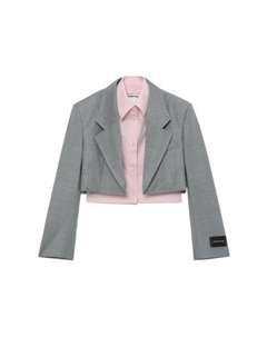 Женский деловой костюм, серый Alexander wang