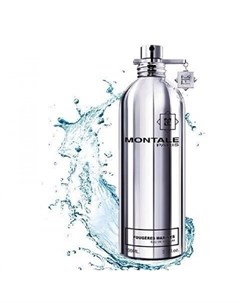 Fougeres Marine Морской папортник парфюмерная вода унисекс 100 ml Montale