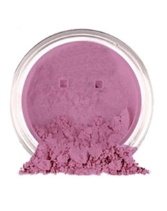 Рассыпчатые Тени для Век с Минералами Mineral Loose Eyeshadow Purple Rain 1 5г Fresh minerals