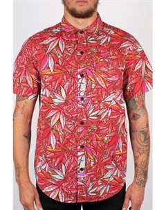 Рубашка Mr Nice Guy II SS Button Up Strawberry Cough M Mishka