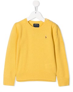 Свитер с вышитым логотипом Ralph lauren kids