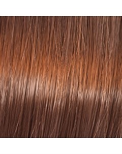 Koleston Perfect Краска Для Волос 7 43 Красный Тициан 60 Мл New Wella professionals