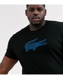 Черная футболка с большим логотипом в виде крокодила на груди Lacoste Lacoste sport