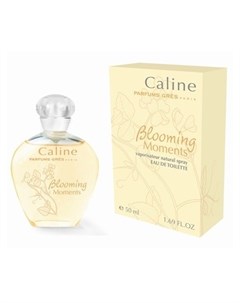 Caline Blooming Moments Gres