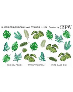 Слайдер дизайн Тропические листья 1 1134 Bpw.style