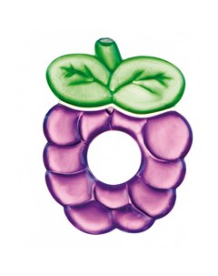 Прорезыватель водный охлаждающий Fruits 2 812 0 фиолетовая ягодка Canpol