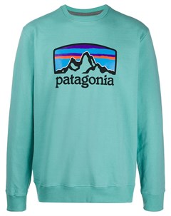 Толстовка с логотипом Patagonia