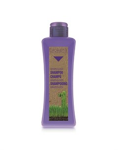 Шампунь ChampuGrapeology с Виноградной Косточкой 300 мл Salerm cosmetics