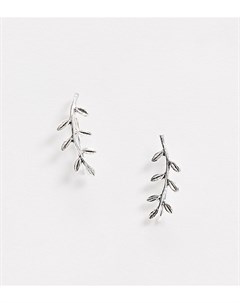 Серебряные серьги клаймберы с дизайном листья Kingsley ryan