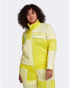 Желтая олимпийка Plus x Danielle Cathari Plus Adidas originals